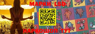 индика Бийск
