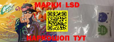 индика Беслан