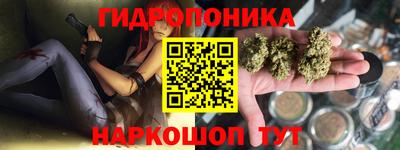 индика Бийск