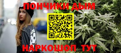 индика Беслан