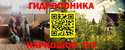 индика Бийск
